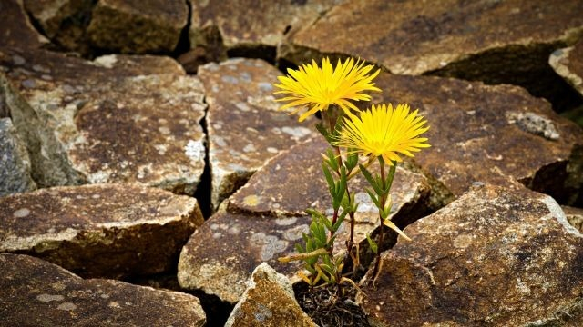 【IOGってナニ？】＼27卒 早期選考 体験記／