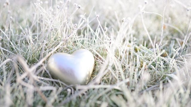 【IOGってナニ？】『最強メンタルの作り方！？』