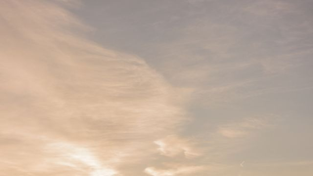 【IOGってナニ？】“いい人だけど通らない”理由を解説