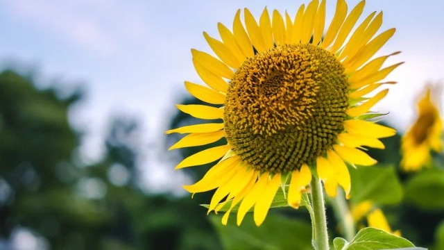 【IOGってナニ？】26卒の私がIOGに入社を決めた、2つの理由🌼