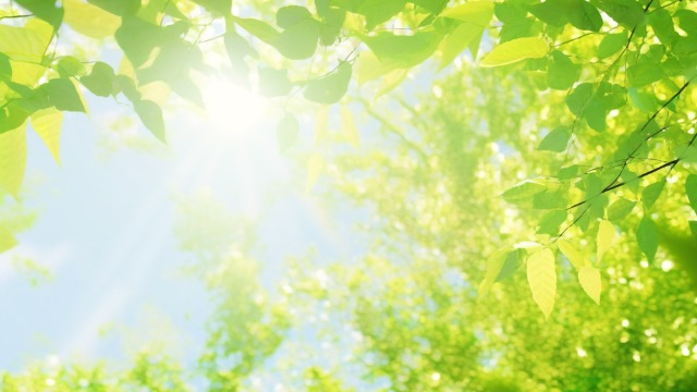【IOGってナニ？】"スキル"より、スキルが身に着いたあなたの"根っこ"