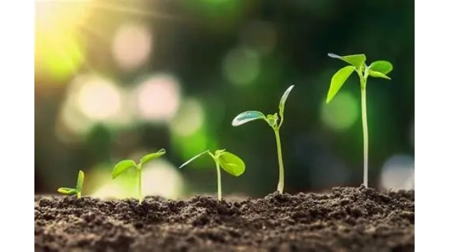 【IOGってナニ？】母の一言で変わった、私の就活の軸🐣