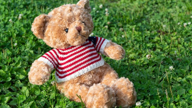 【IOGってナニ？】26卒の私だからこそ、伝えられること💡