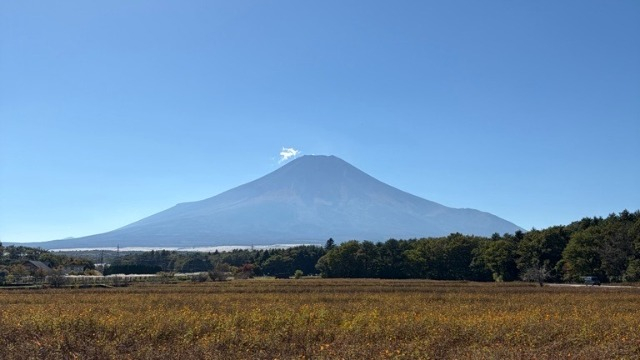【IOGってナニ？】26卒の私が感じた、頑張ることと同じくらい大切なこと🍀