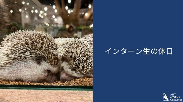 AWCインターン生の休日