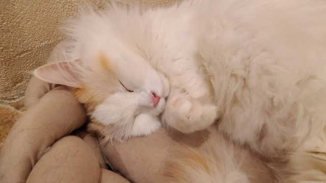 2024年もよろしくお願いいたします！