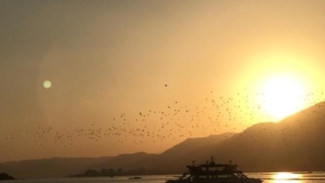 就活を経験したから言えること