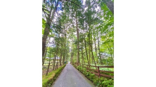 ✿採用担当の休日✿