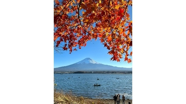 ✿紅葉パラダイス✿