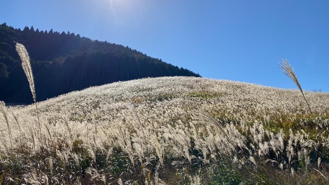 体調管理に気をつけましょう！