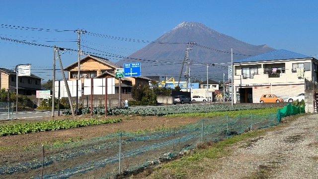 ３連休は静岡に行ってきました！（新卒：本間）