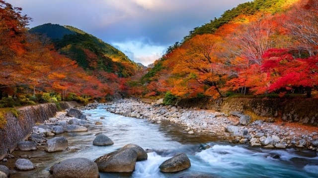 《松山》お客様から学ぶこと