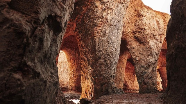 “正解”よりも“納得”を。温故知新が考える会社選びのかたち