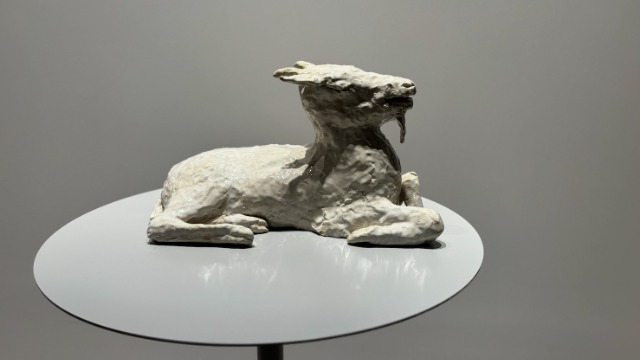 【自己紹介】デザイン部：髙須 信博🐐