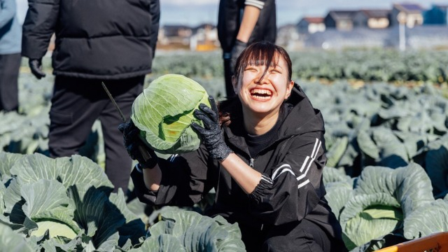 🌱就活は「小さな一歩」を積み重ねることが大切🌱