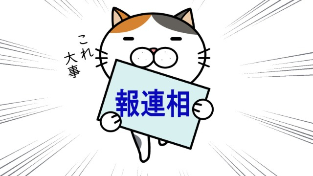 技術よりもまず「報・連・相」？新入社員が最初につまずくこと