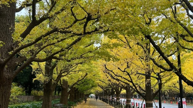 【東京・青山】H&Companyマーケターが選ぶオフィス周辺おすすめスポット4選！(前編)