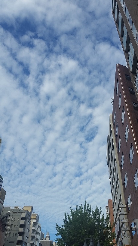 ★2017卒向け、ブログスタートします！★