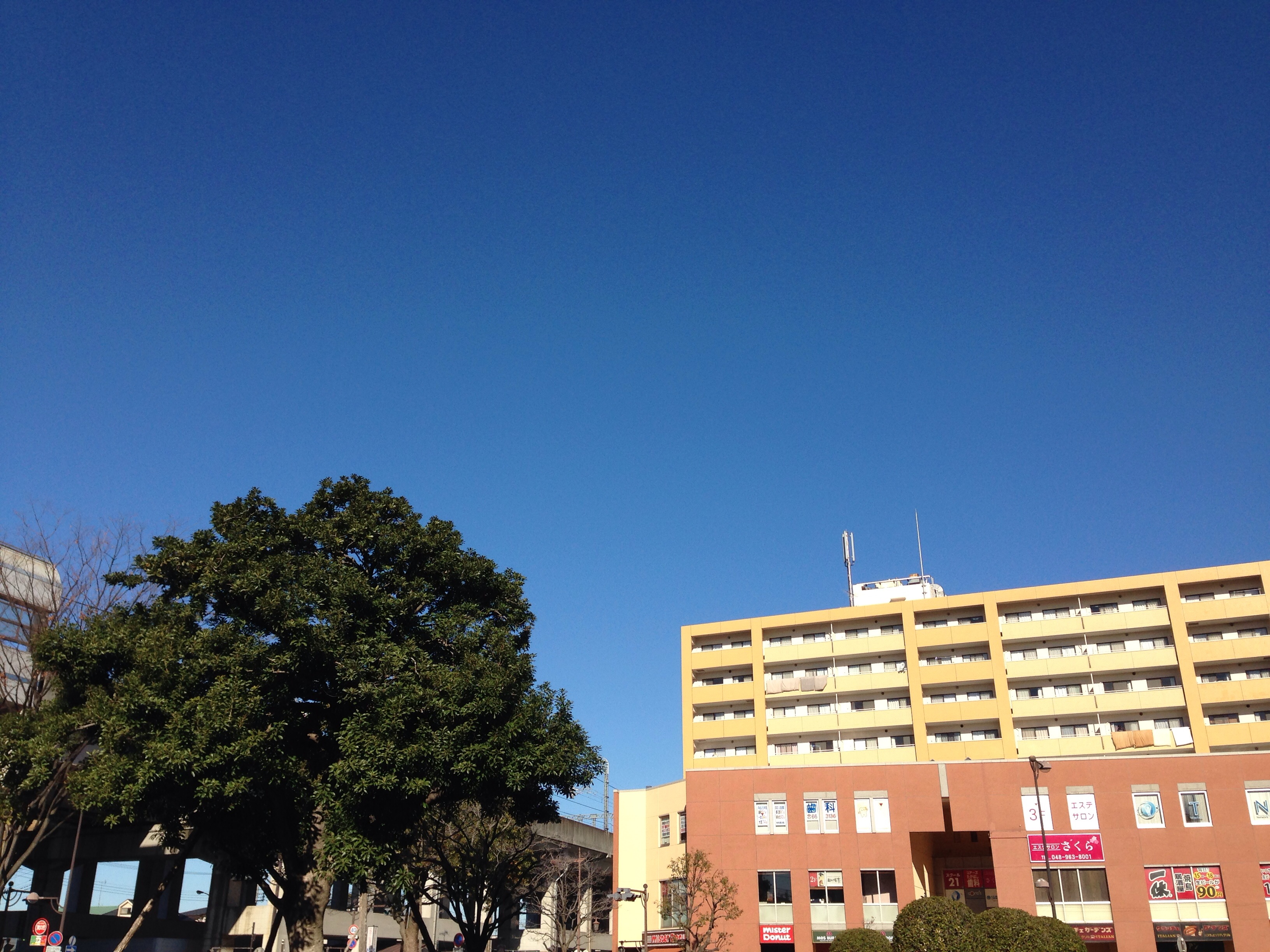 冬休みに入りました