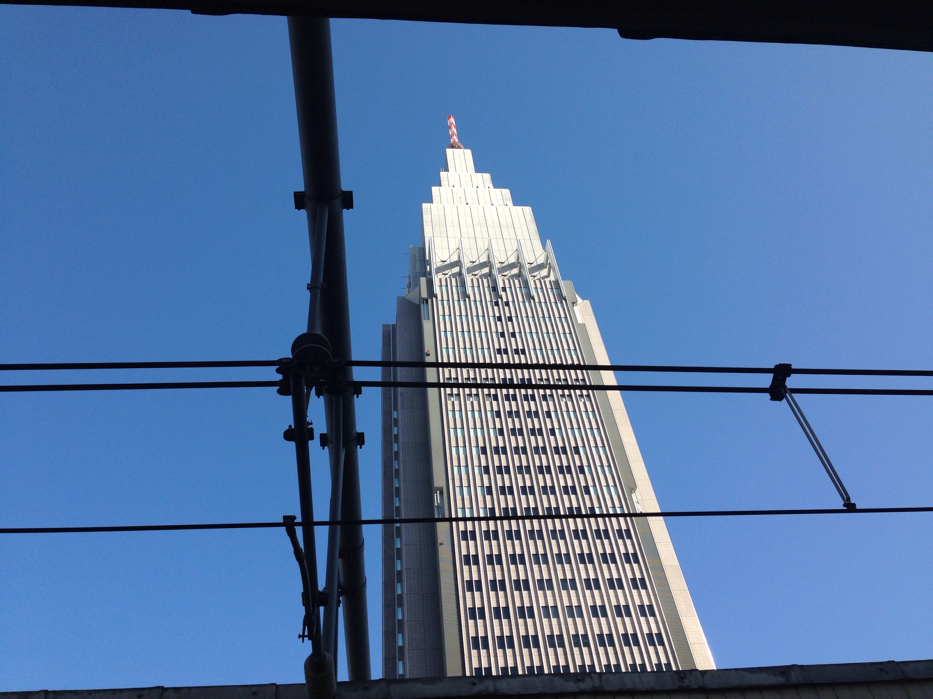 新成人、おめでとうございます。