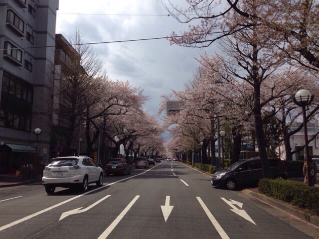 新入社員一ヶ月と少し