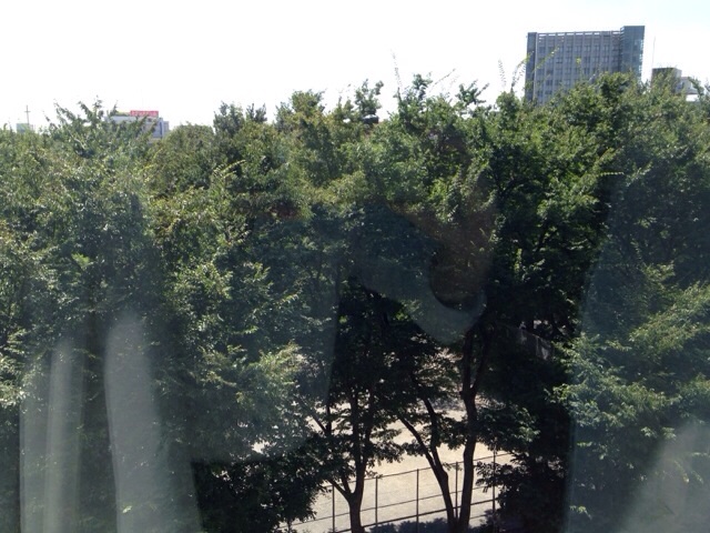 今週は本当に暑いです