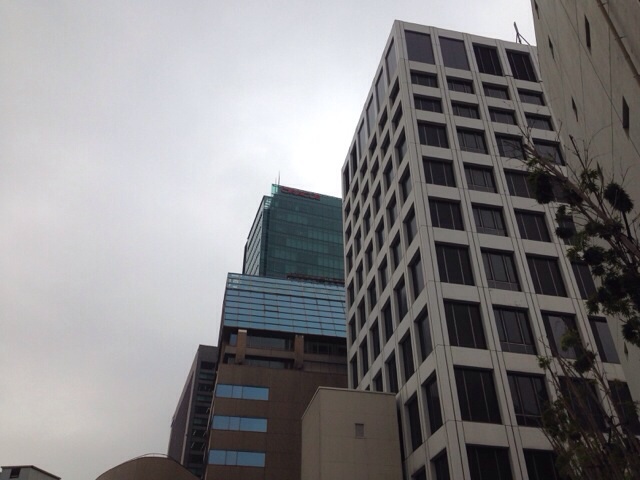 今日もあいにくの空模様です