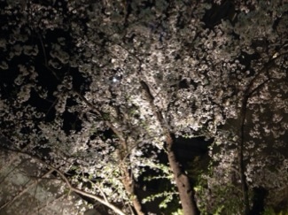 本日は入社式！