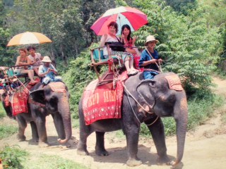 プーケット！？