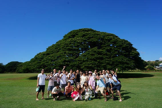 社員研修inハワイ