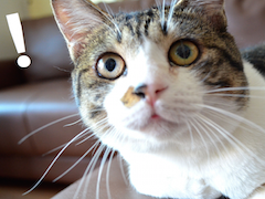 2chに学ぶ集客方法(ﾟ∀ﾟ　)(ﾟ∀ﾟ　)(ﾟ∀ﾟ　)