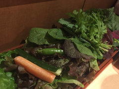 赤坂で美味しいサムギョプサルを食べるなら！