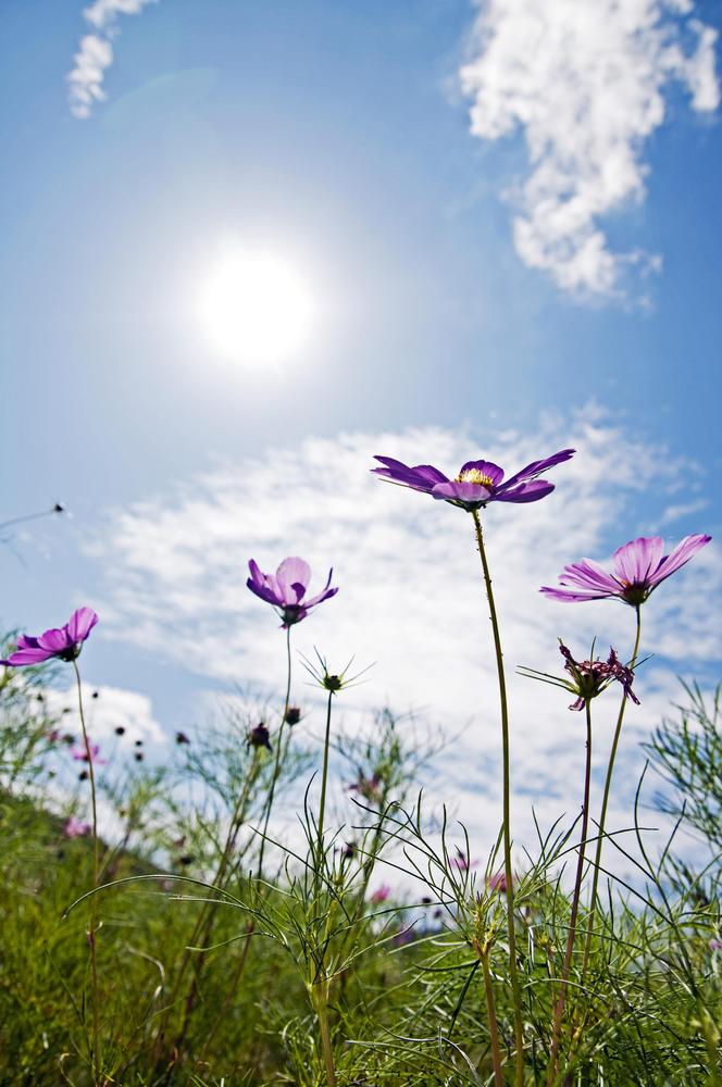 11/18（水）説明会開催決定！