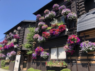 大阪本社社屋は花でいっぱい