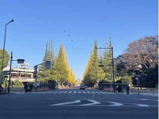 会社の近くには有名な外苑前の銀杏並木があります。美味しい＆素敵なお店が周りにはたくさんあります。