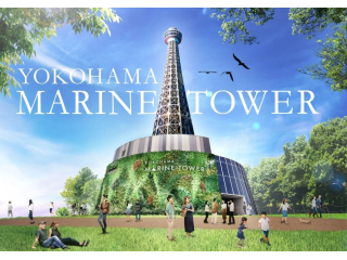“横浜のシンボル”横浜市から委託を請けマリンタワーの運営・管理・リニューアル事業を請け負う！